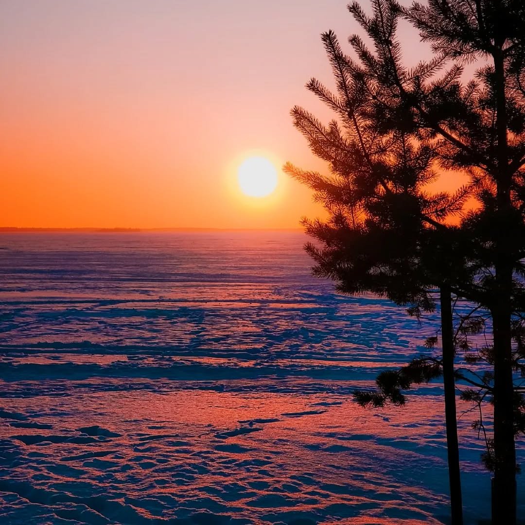 Our Saturday afternoon selection is an atmospheric and very colourful set of stunning winter sunsets from around Finland. 

Photos shared on IG by lapland.dreams, markkufilatov, tarjamarjut, and rikumoe:
instagram.com/p/DT5DYaUDI-b/