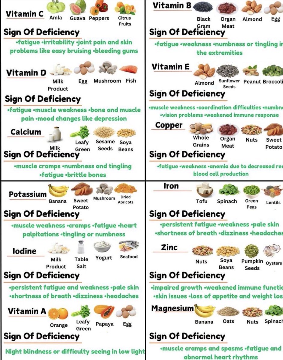 NUTRITION EVEREST tweet media