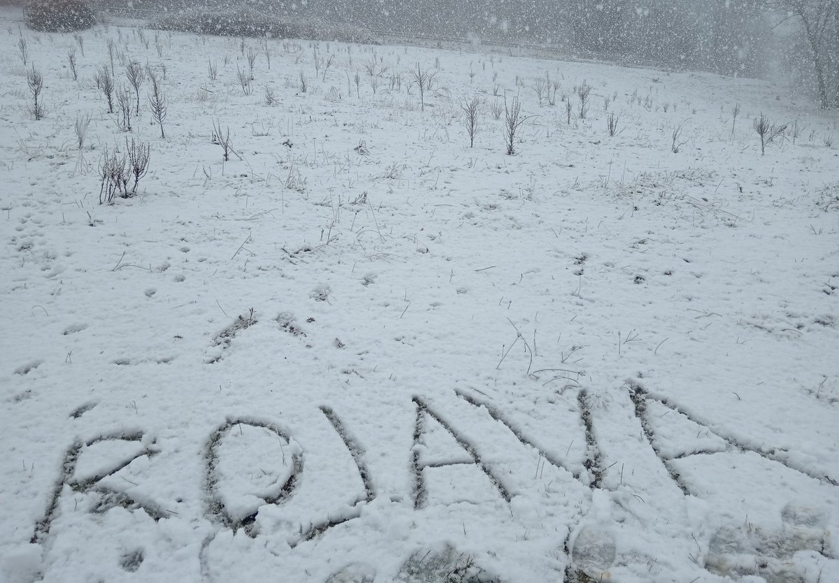 Potser només els queden com a amics les muntanyes, però nosaltres som també les seves muntanyes... 
Des de les muntanyes de la vella Europa us pensem. 
Sort, força i coratge.
#Pirinencs
#Kurds
#PoblesDeLesMuntanyes
Biji Kurdistan!