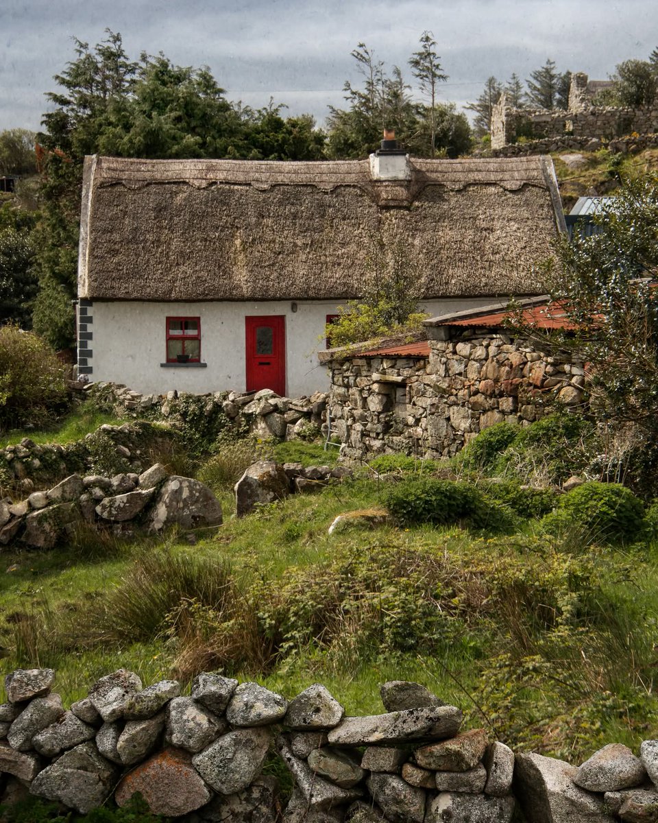 ThisIsIreland3's tweet image. The little cottage with the red door 🛖💚

📍Connemara, County Galway 🇮🇪

📸dominicmoriartyphotography.com/store

#Connemara #Cottage #Galway #Ireland