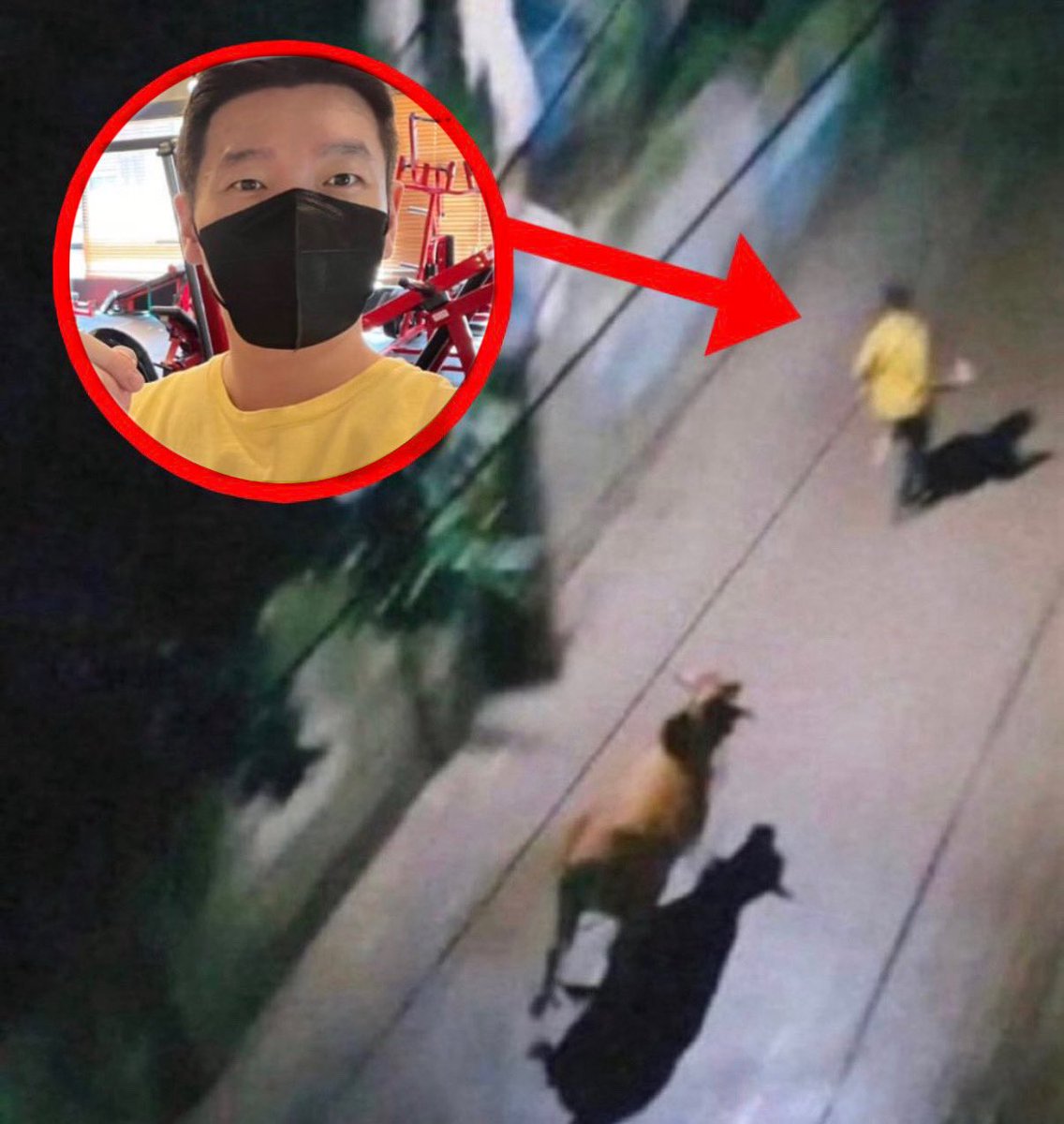 사실 조승우는 소에게 쫓긴 적이 있다