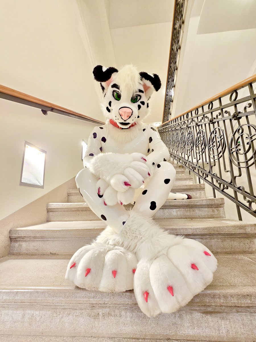 You caught him staring

🧵: ⁦<a href="/MadeFurYou/">@madefuryou.com on BSKY</a>⁩ 

#SqueakySaturday