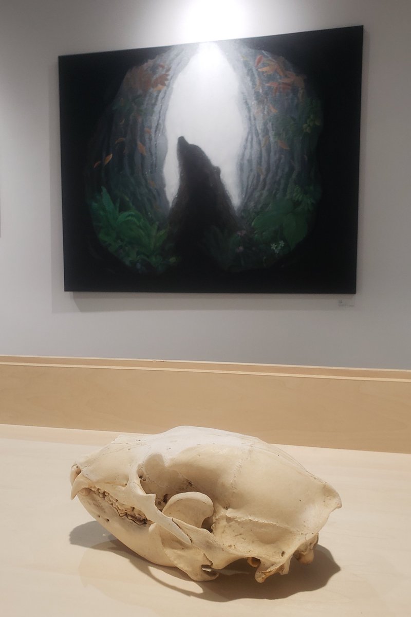 Cyg art gallery企画展「境界をまたぐとき」の会場の真ん中に熊の頭骨があって、作家さん達の絵がそれを囲む様になってて。
具体的な言葉にはならないんだけれども、この頭骨がある事で展示にグッと惹き込まれた気がする。
（写真は永沢碧衣さんの作品を前にして撮影。）