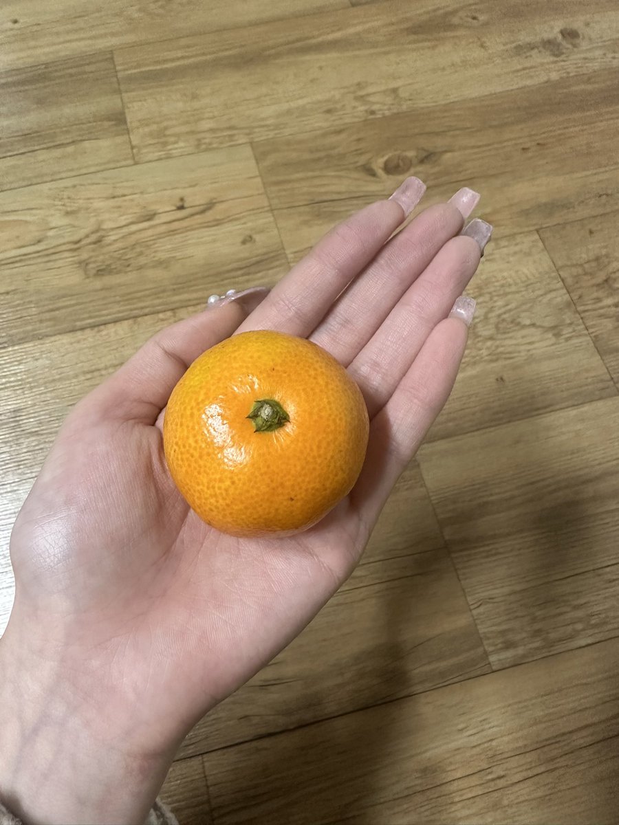 sh_oats's tweet image. 블루레이디를 모십니다!!
사진들은 저를 소개하는 4장입니다🤍

일상/네일/공부/주식 등을 다룹니다
20일이 넘도록 500팔을 못 채웠어요
도와주시랍쇼🙏🏻😭

모두들 행복하세여🤍
이 세상 모두 존중함. 혐오 없음(어차피 내 인생 아님)