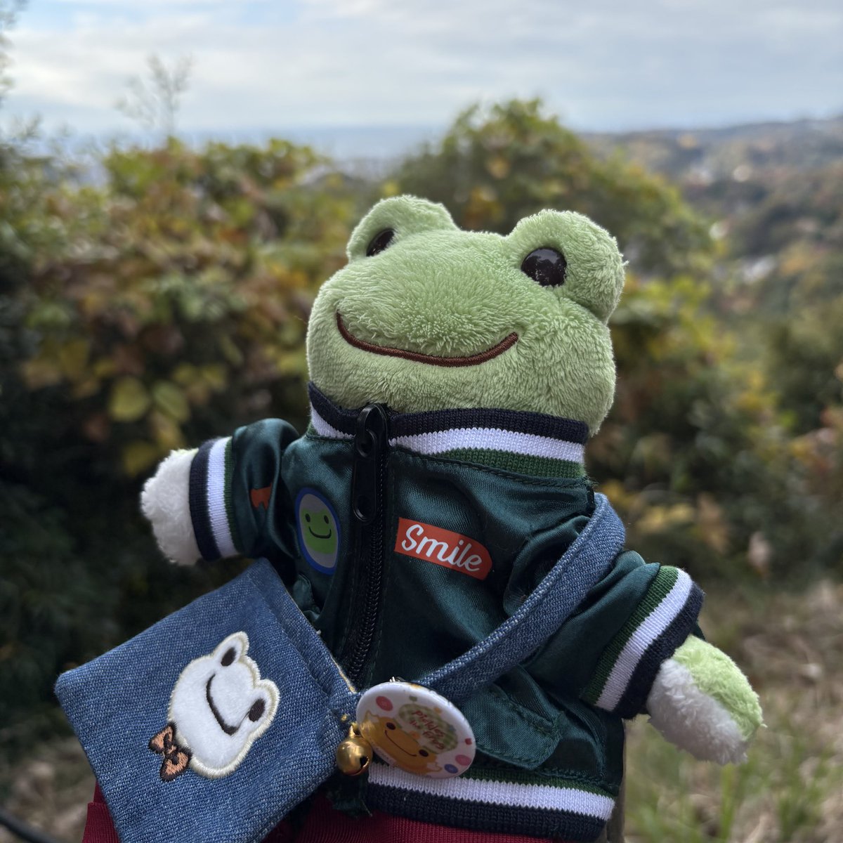 コタロ兄弟〜昨年の調査報告①1/2 1…わっわぁケロォ🫡🫡🫡❗️ 2