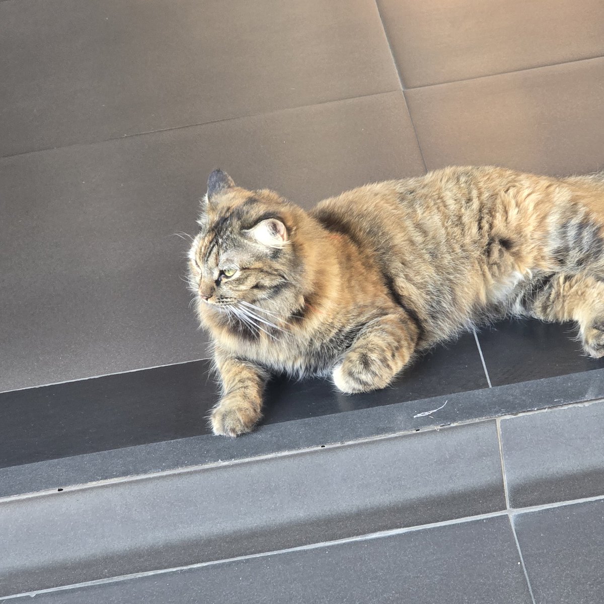 #미도in치앙마이 DAY8.