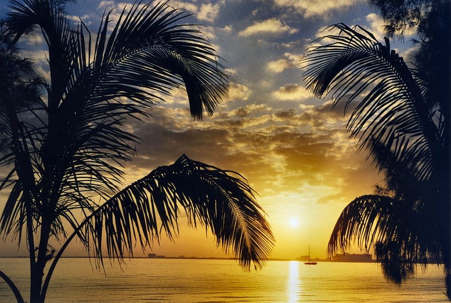 Yg_Tragic's tweet photo. Ohio winters were brutal, but Daytona beaches? Game changer. Woke up to this sunrise yesterday —waves crashing, palm trees swaying, zero regrets.
Drop your fave local spot or why you love it here 👇 #PortOrange #FloridaLiving #BeachVibes #DaytonaBeach https://t.co/Qzf6t1rdns
