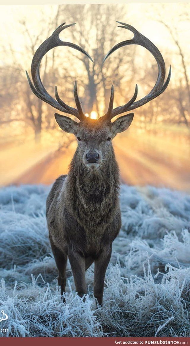 Turcomauel's tweet image. Just found out that Android devices are under serious threat from crypto malware! 😱 It's wild how these sneaky programs can mine coins without you even noticing. Stay alert and protect your phone! You never know what might be lurking in your apps!