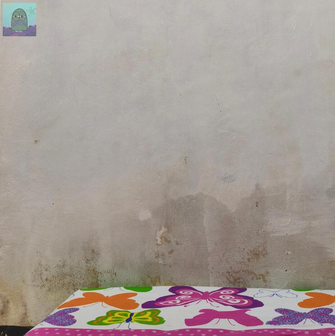 Tanyarl 💚 tweet media