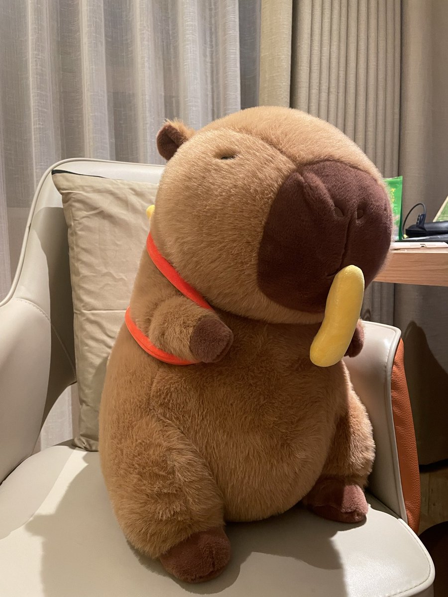 普段s2の横に乗る人がいないので人が乗らない時は横に鎮座してもらう予定のカピバラさんです(´⊙ω⊙`)