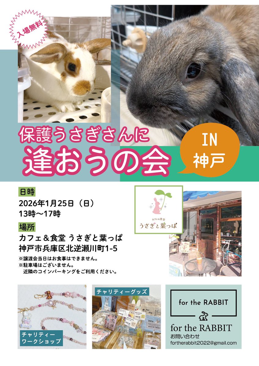 ウサギデザイン🐇🦜 (@sera46chan96) / Posts / X