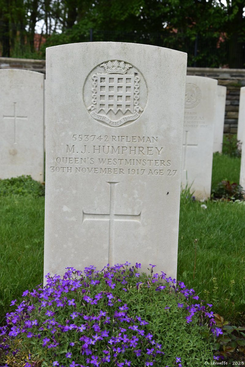 Olivier L. tweet media