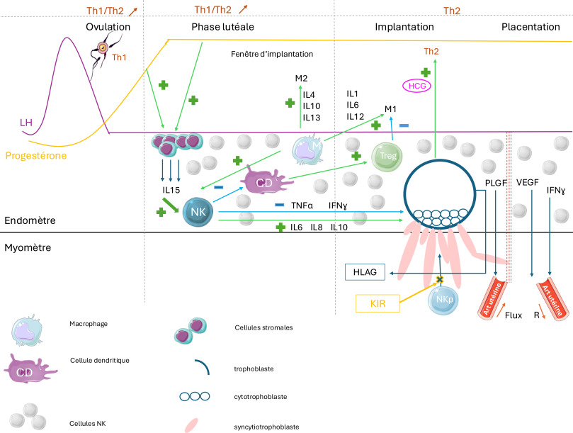 La Revue de Médecine Interne tweet media