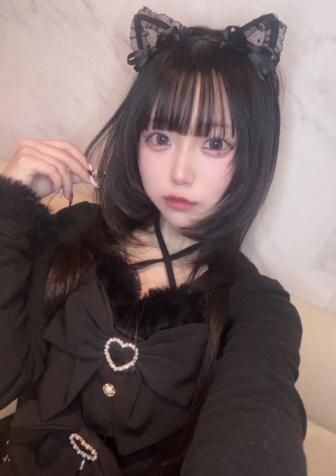 Dolly Catsのツイート