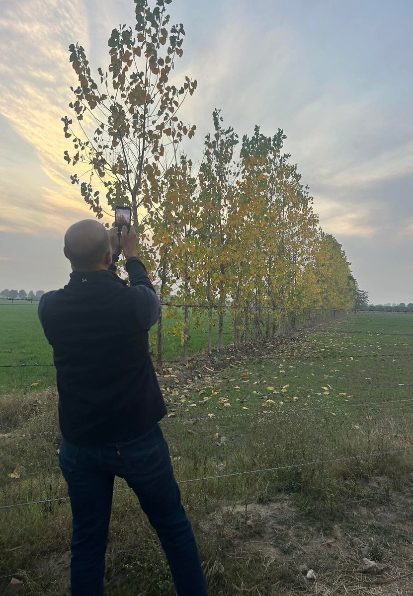 Captured while capturing a image...Panjkosi