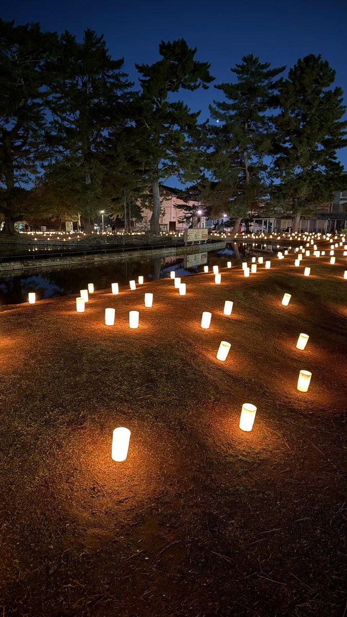 【公式】なら燈花会(とうかえ) tweet media