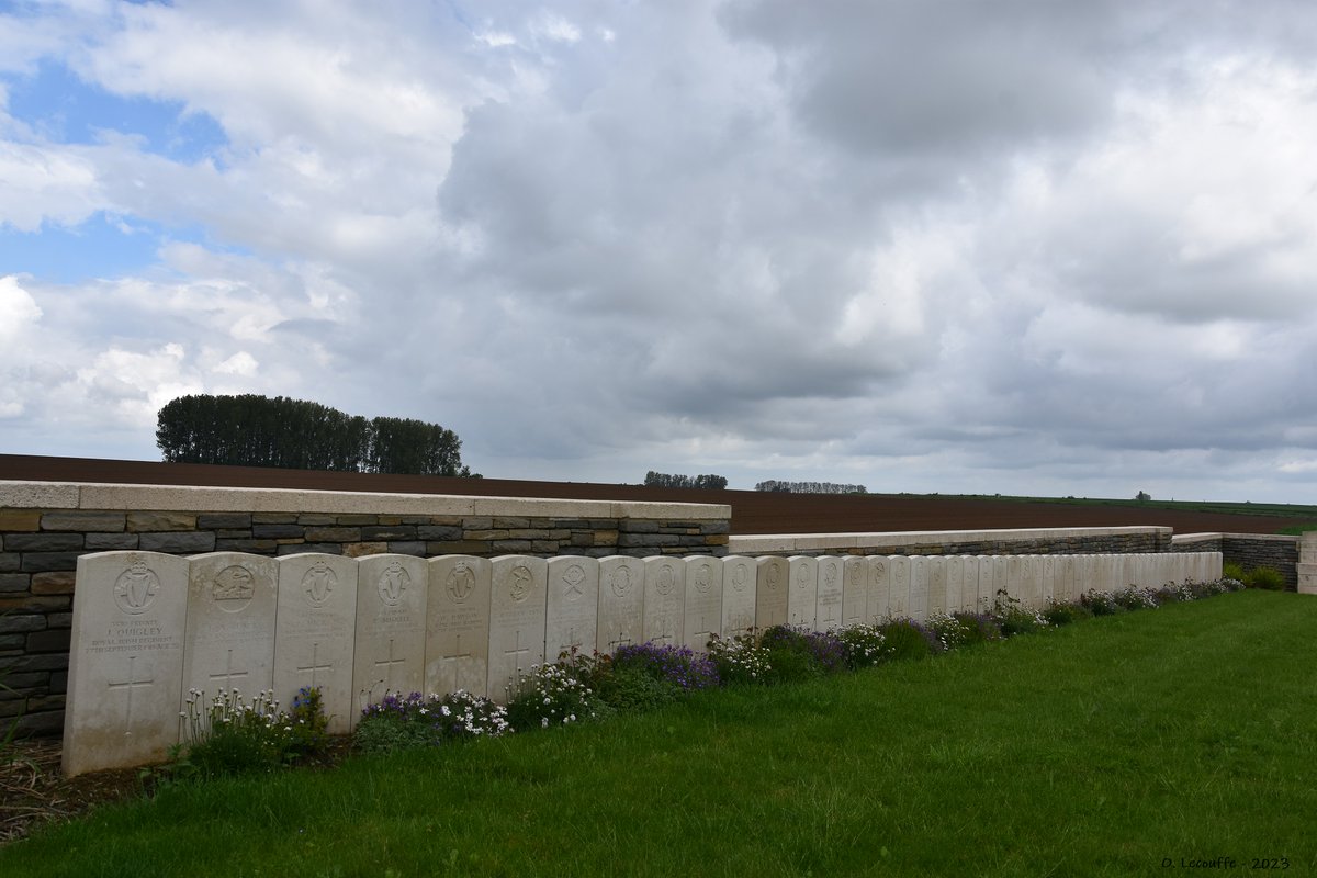 Olivier L. tweet media