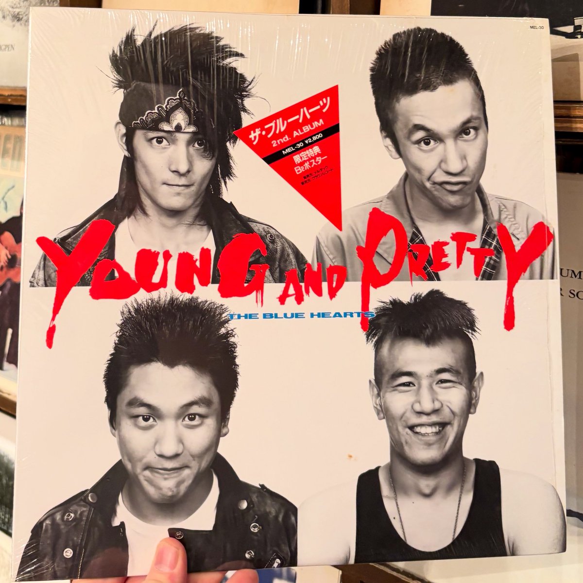 ブルーハーツ再入荷しました！！！ 本日も寒い中ご来店くださった