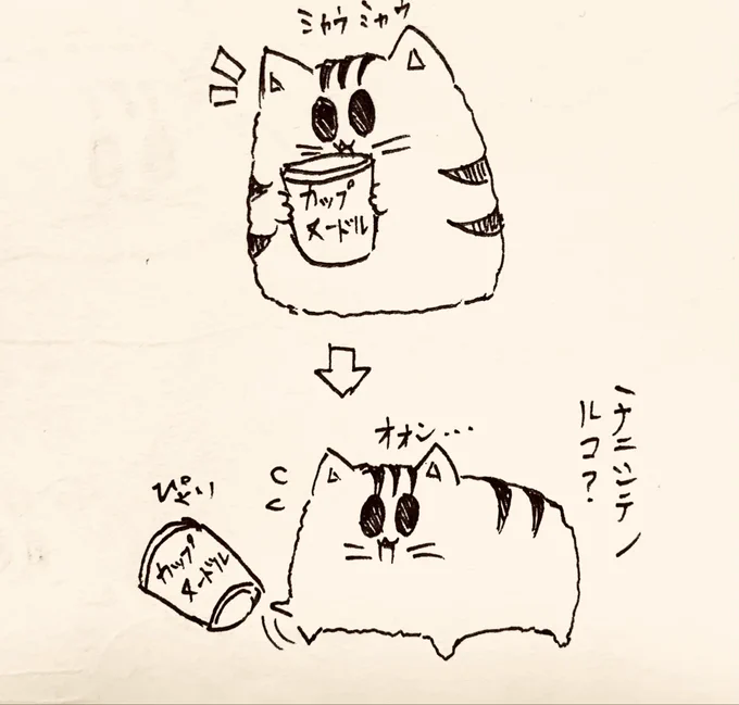 隠れてカップ麺食べようとしたとこを見られて、普通の猫のフリするもち虎さん🐯 