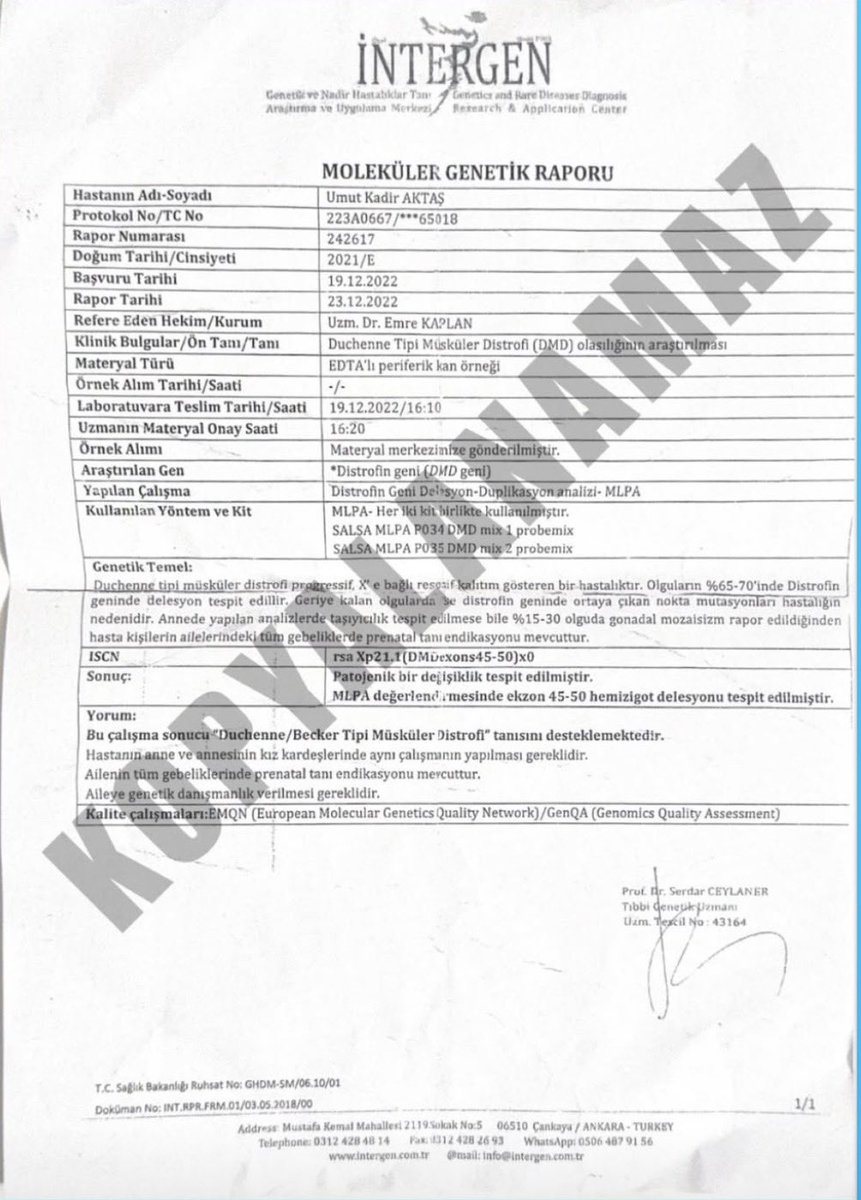 DMD UMUT KADİR AKTAŞ tweet media