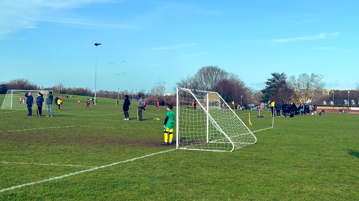 The Pavilion tweet media