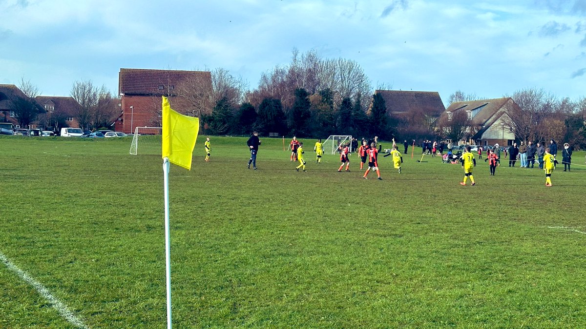 The Pavilion tweet media