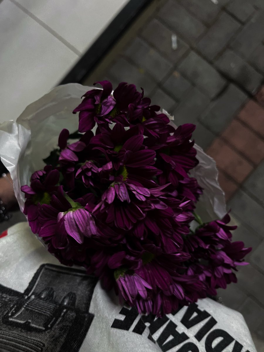 Ketua Broken Home tweet media