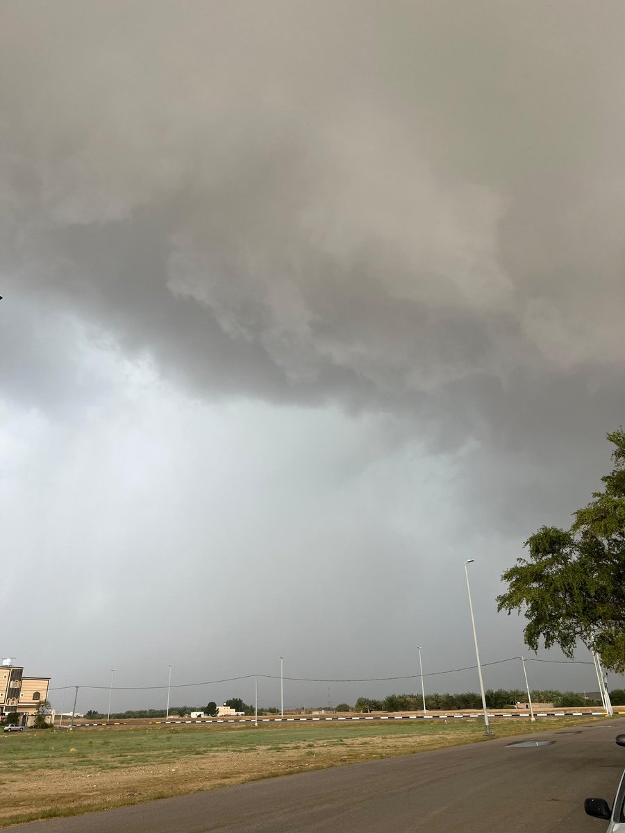 فريقY7 tweet media