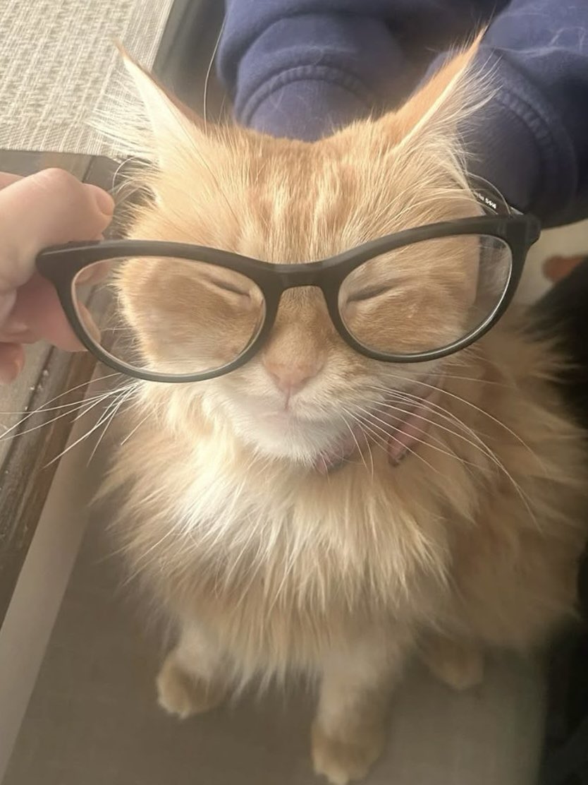 febporary's tweet image. คับเมี้ยว