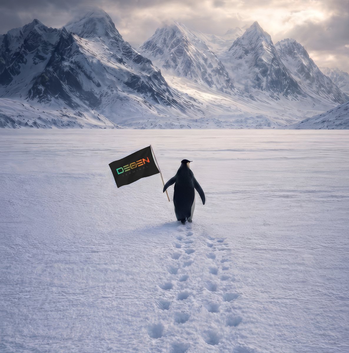 DegenTer tweet media