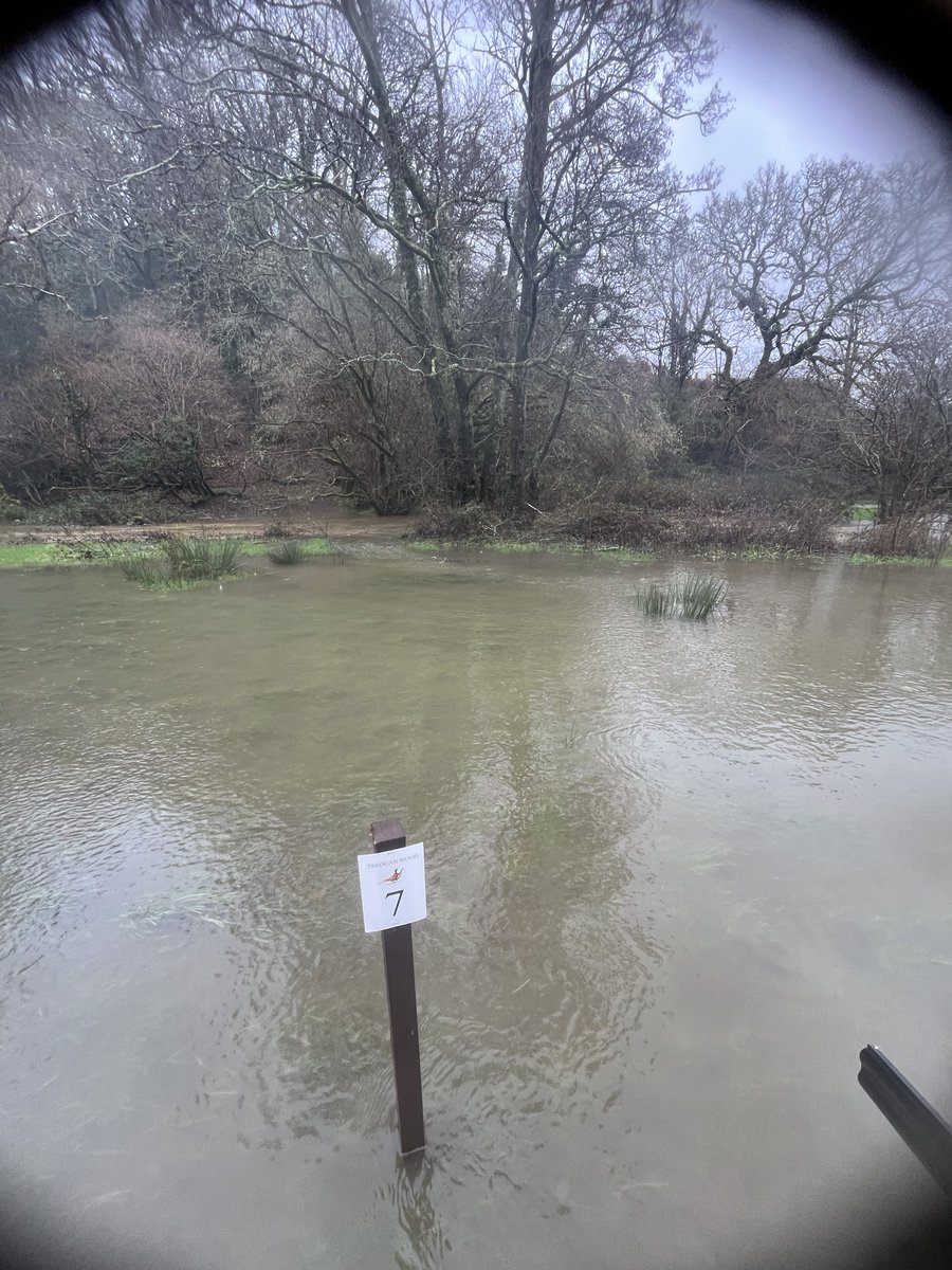 Longwool tweet media