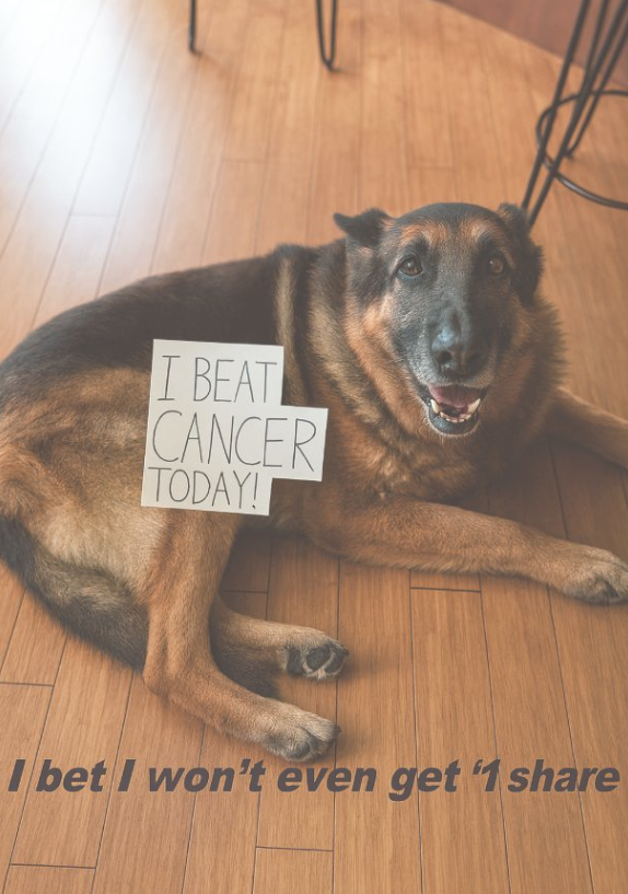 Congrats to you sweetie ❤️