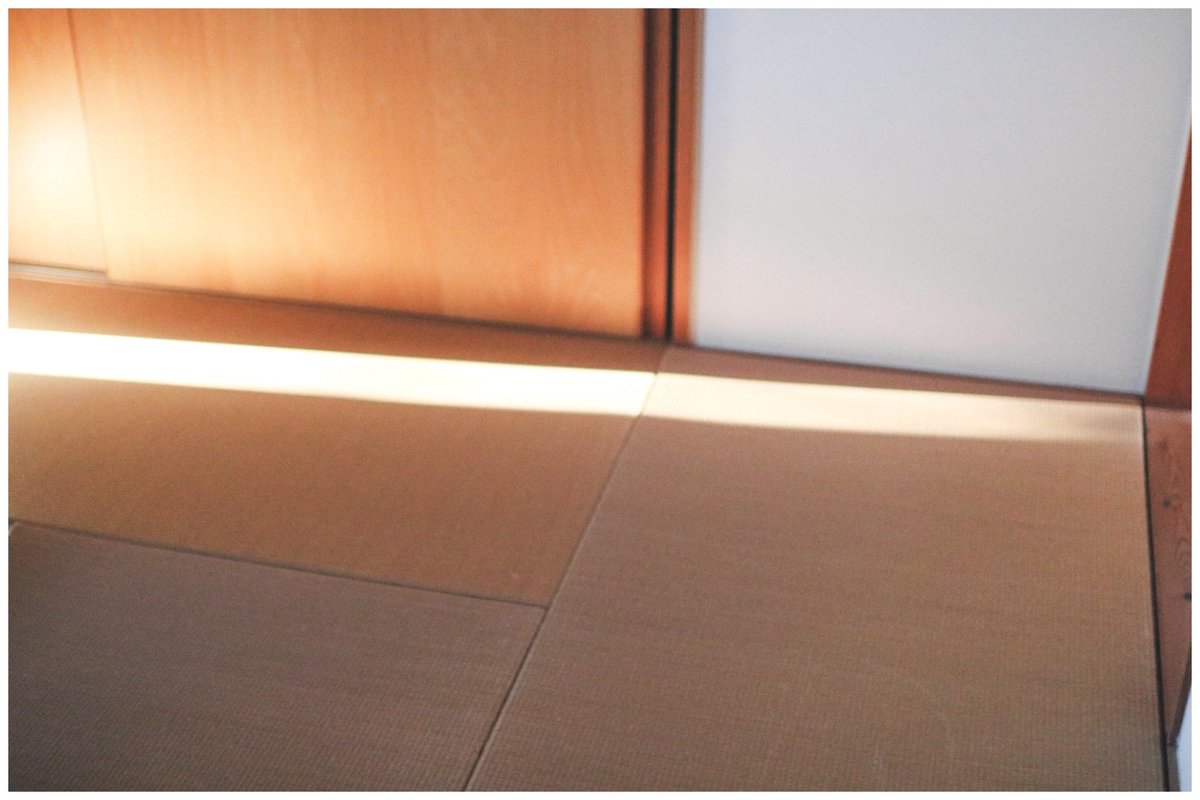 hakobe__00's tweet image. seikatsu