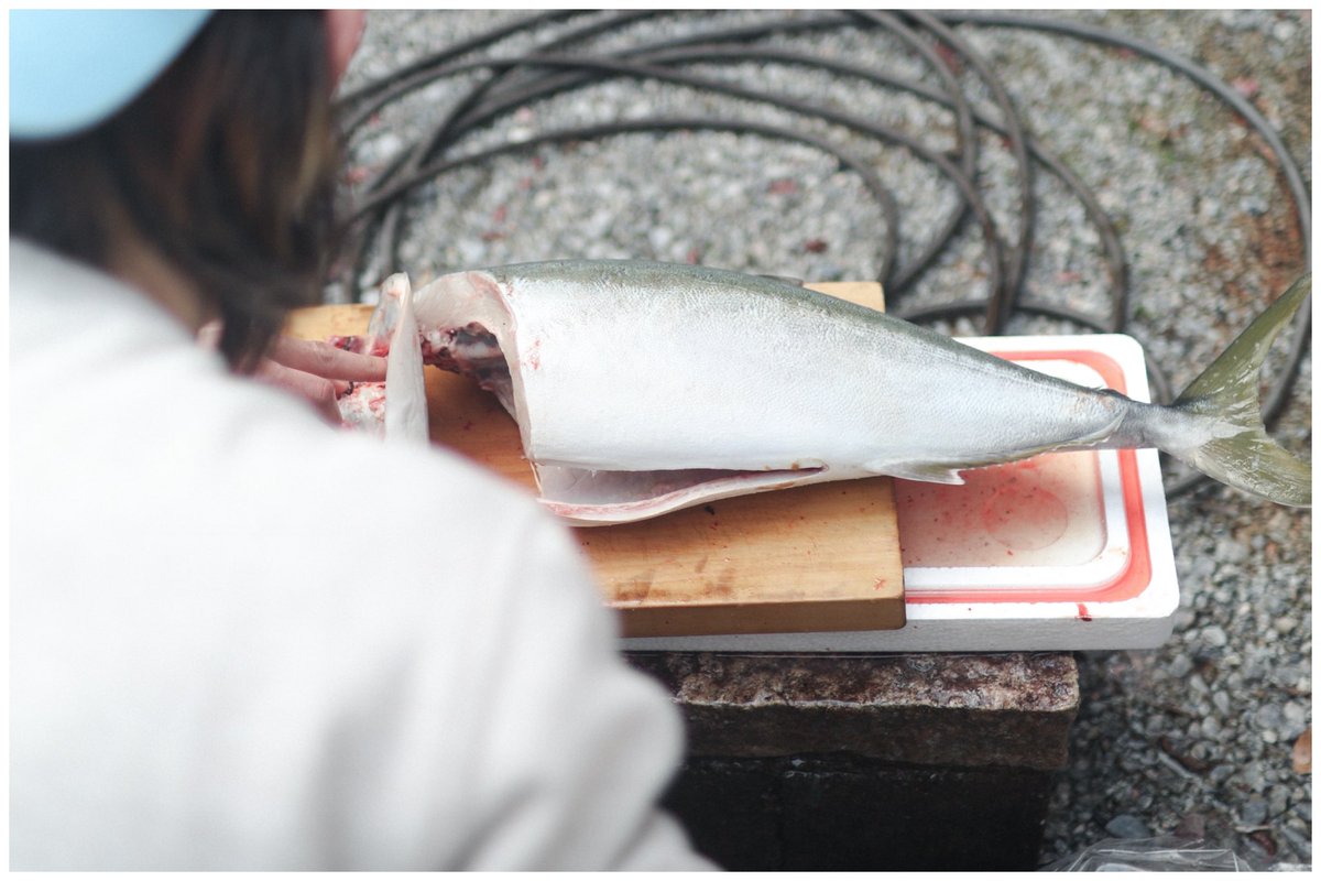 hakobe__00's tweet image. seikatsu