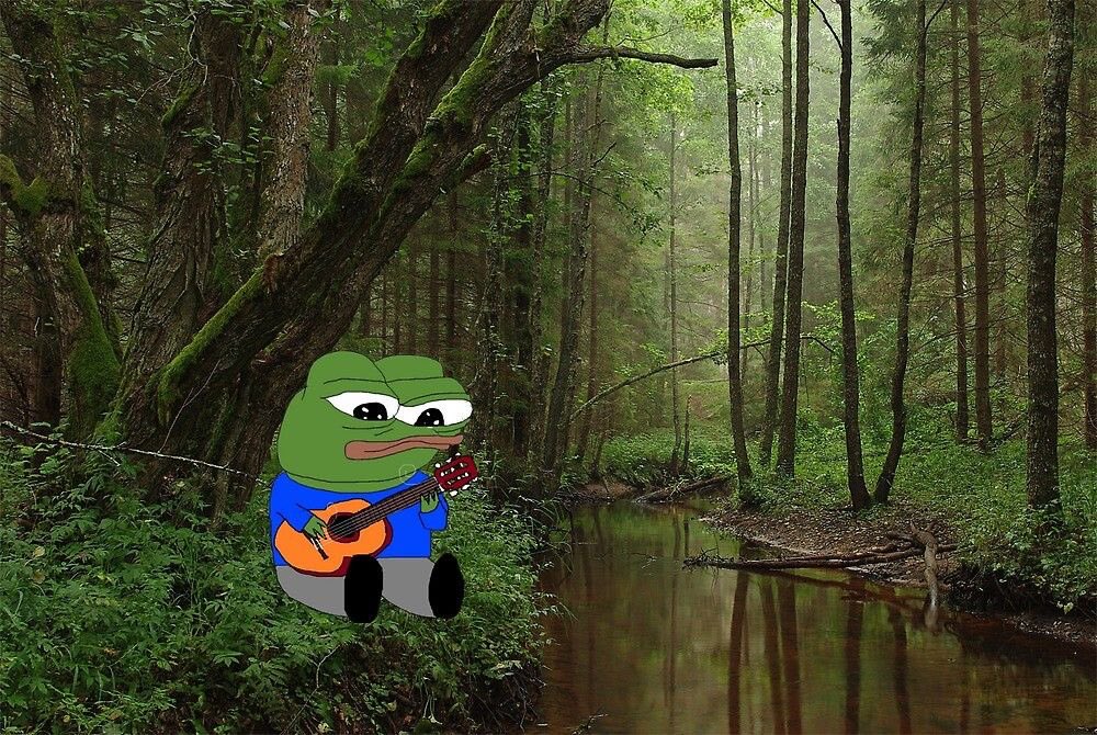 Dee Crypt🎚️ tweet media