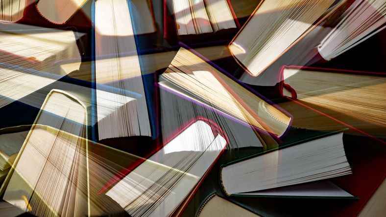 bibliothequeBSI's tweet image. 📚🌙 Nuits de la lecture 2026
💻🪑 La bibliothèque de la @citedessciences vous propose une sélection jeunesse en ligne et un salon de lecture sur place. 
Un moment de lecture à partager 👧🧒
#Nuitsdelalecture #Lecture #Bibliothèque @MinistereCC 

👉 cite-sciences.primo.exlibrisgroup.com/discovery/coll…