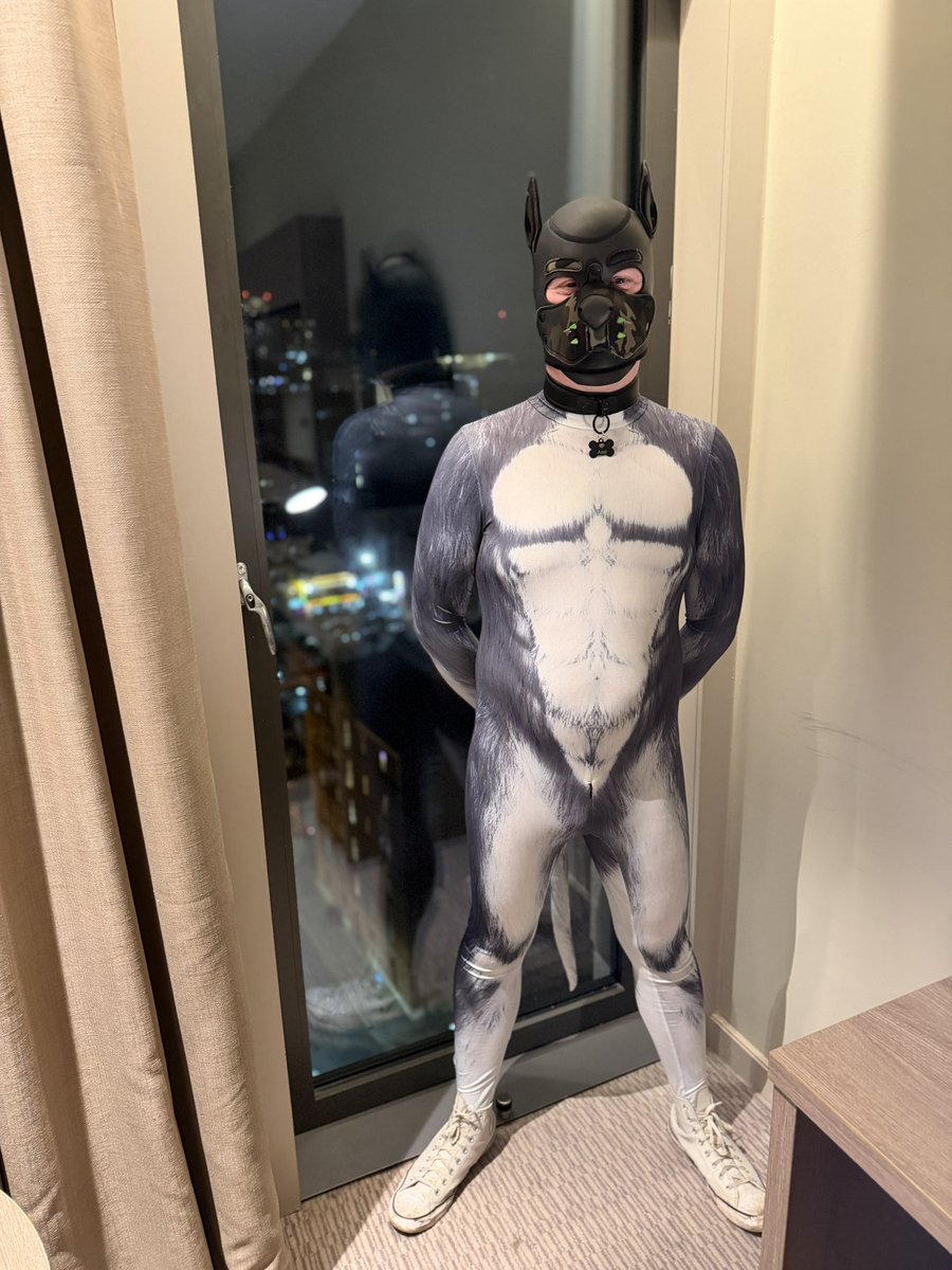 Axel 🐾 tweet media