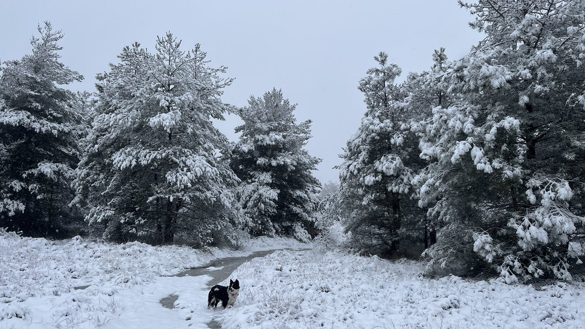 PepPurti's tweet photo. Neu a Moià 
@meteocat @TomasMolinaB https://t.co/aAaIBvKIGs