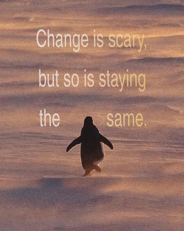 thematrixwizard's tweet image. 