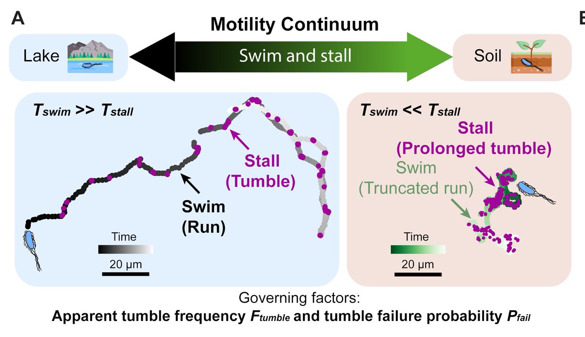 PRX Life tweet media
