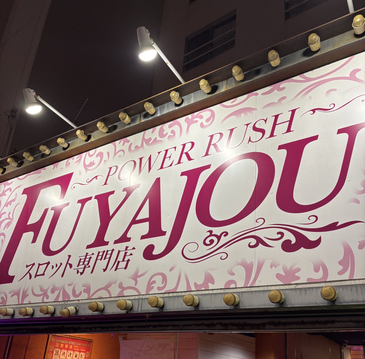 きゅぴ tweet media