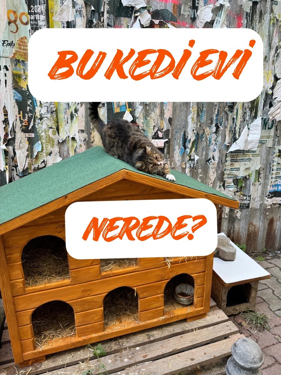 berfukiziltan's tweet image. 7. Günde @kadikoybelediye zabıtası kopyala-yapıştır cevaplarına devam edip dilekçeleri kapatıyor. Kamera kayıtlarında bile yeni ve temiz olduğu görünen kedi evi nereye götürüldü? @mesutkosedagi zabıtanız niye cevap veremiyor bu soruya?