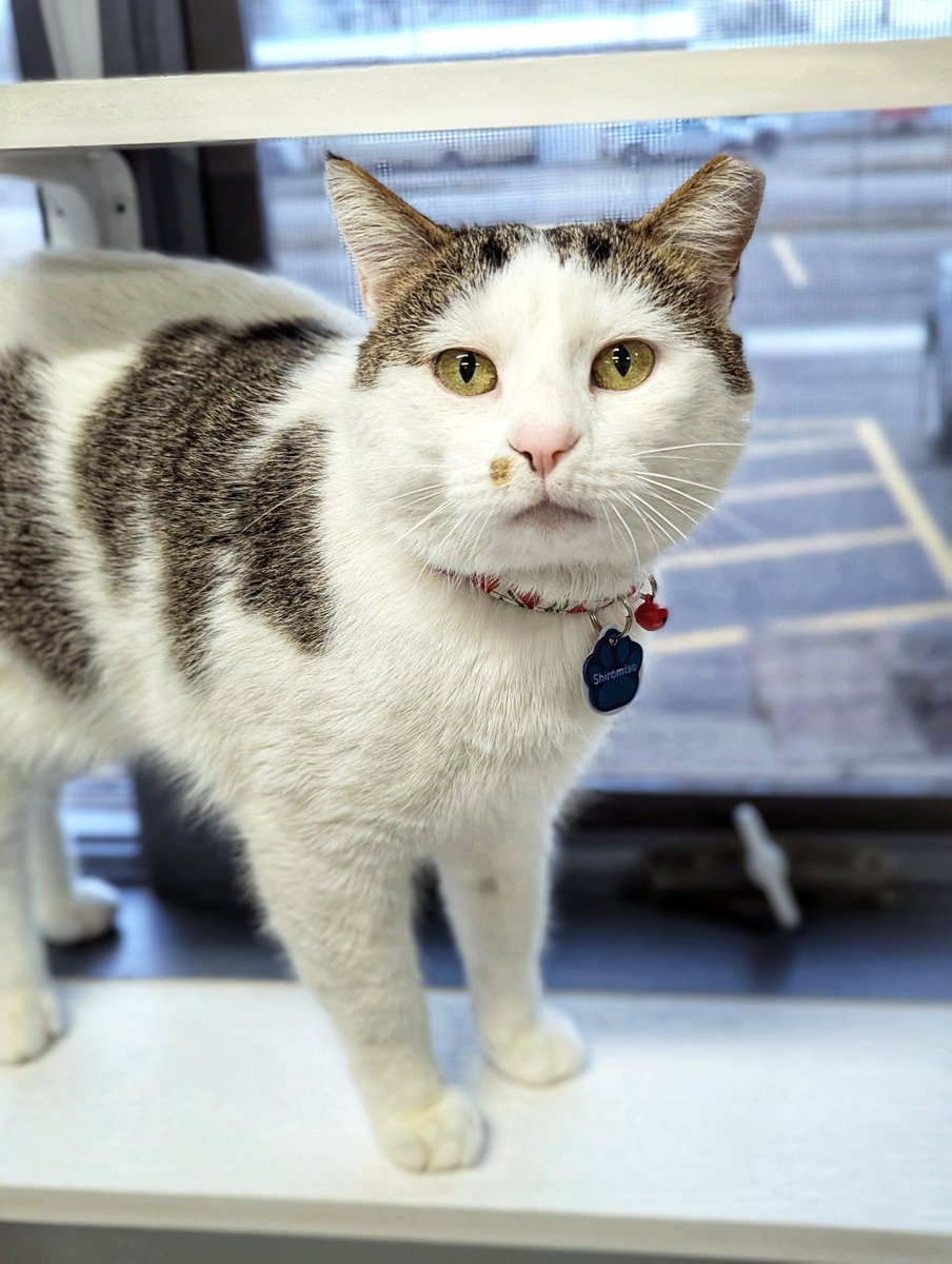 mom3x (@mommy_3x) / Posts / X