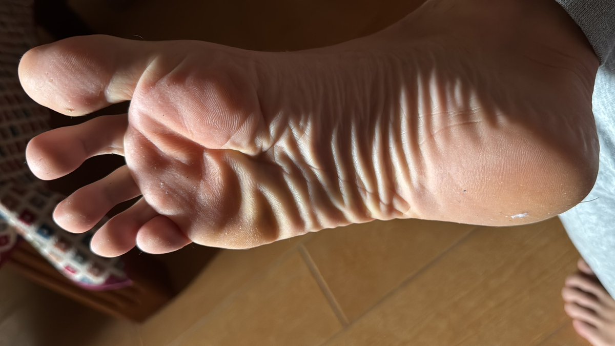 Alpha Apolo 🦍 tweet media