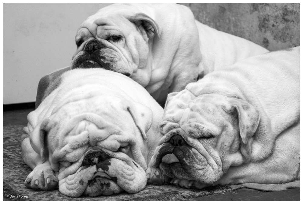 backtrasio's tweet image. #2016