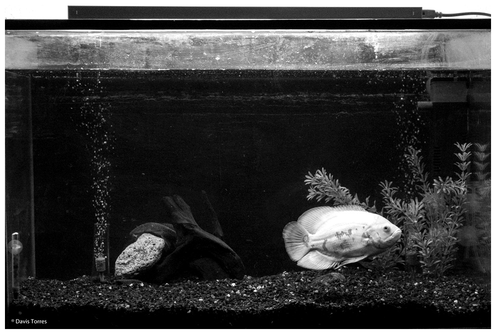 backtrasio's tweet image. #2016