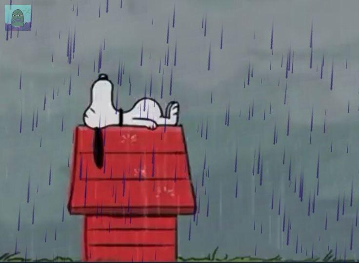 Tanyarl 💚 tweet media