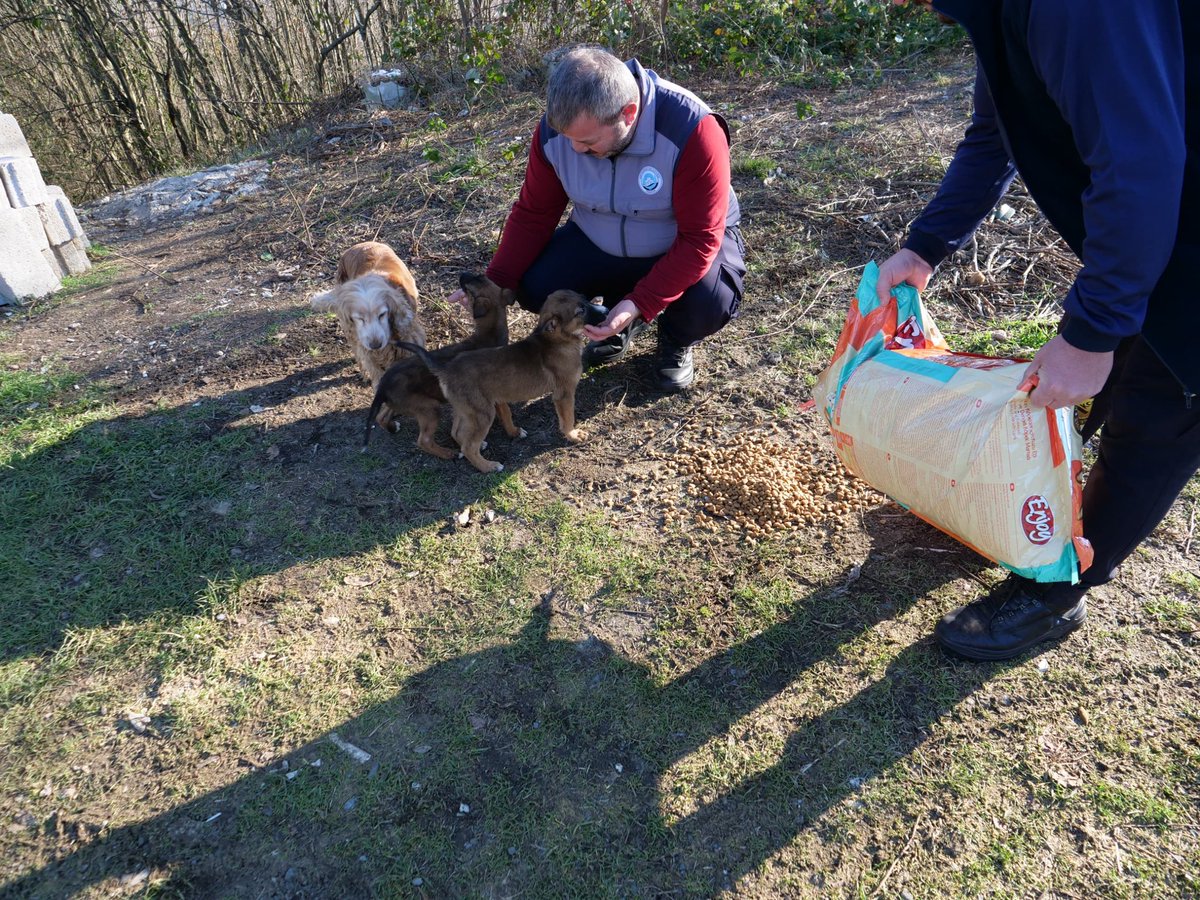 Soğuk kış günlerinde can dostlarımızı yalnız bırakmıyoruz 🐾❄️

Ortahisar Belediyesi olarak, kar yağışı ve soğuk hava nedeniyle yiyecek bulmakta zorlanan sokak hayvanları için kırsal mahallelerimizde yemleme çalışmaları gerçekleştiriyoruz.

Başkanımız Ahmet Kaya’nın da ifade