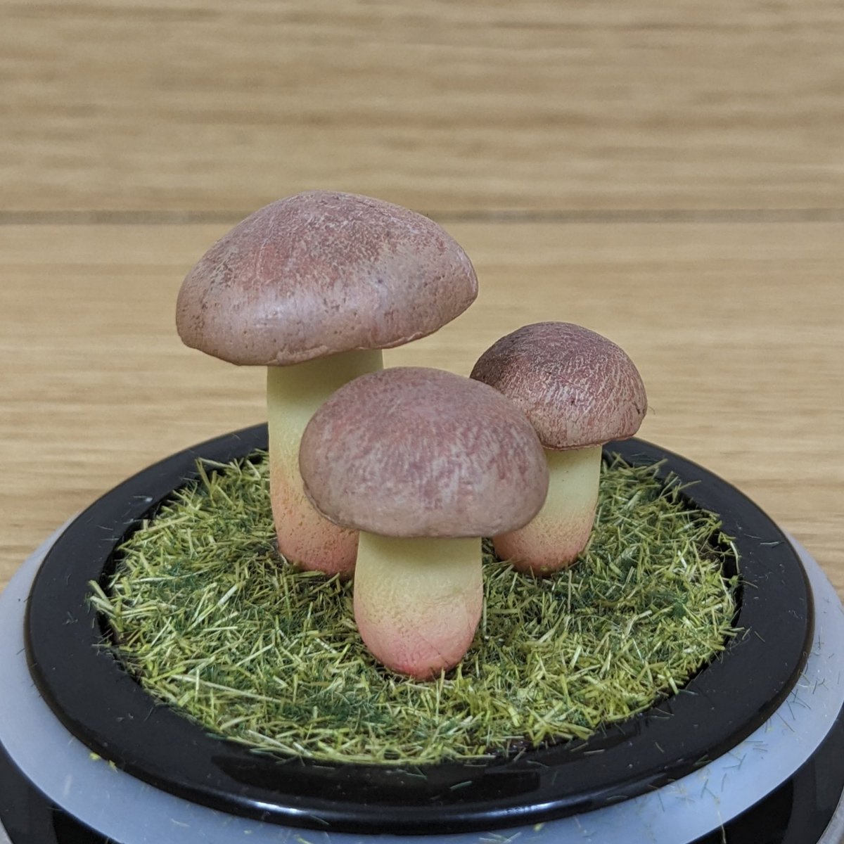 トミー（Tommy） (@0vkkE7zR7tIl8ee) / Posts / X