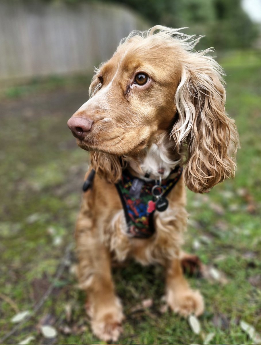 Rob Darke tweet media